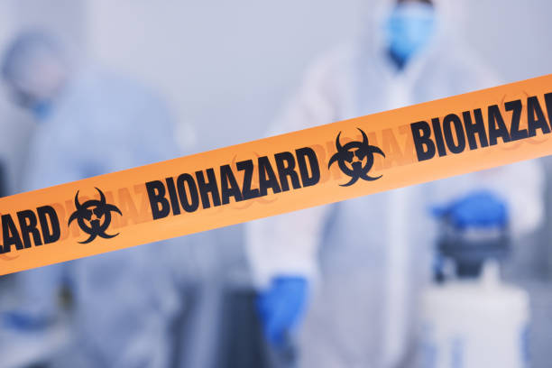Professional Hoarding Cleanup technician working in Mica, WA